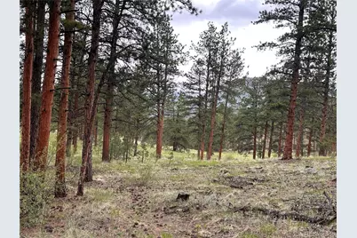 861 Happy Top Trail, Bailey, CO 80421 - Photo 22