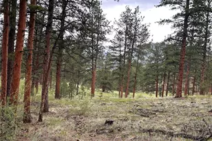 861 Happy Top Trail, Bailey, CO 80421 - Photo 22