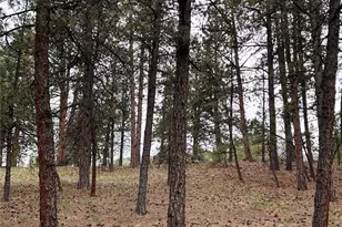 861 Happy Top Trail, Bailey, CO 80421 - Photo 26