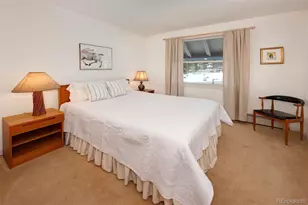 311 S High St, Breckenridge, CO 80424 - Photo 18