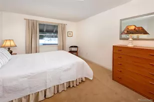 311 S High St, Breckenridge, CO 80424 - Photo 12