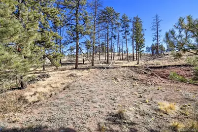 238 Chateau West Drive, Florissant, CO 80816 - Photo 4