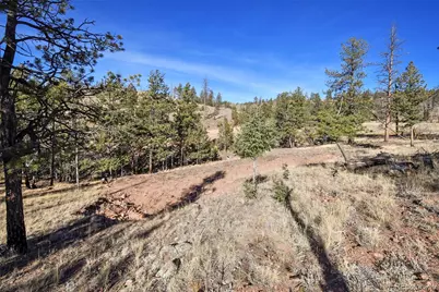 238 Chateau West Drive, Florissant, CO 80816 - Photo 8