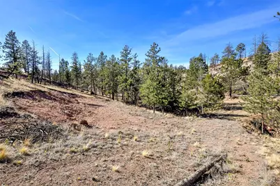 238 Chateau West Drive, Florissant, CO 80816 - Photo 12