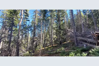 Lot 2999 & 2998 Drexler Place, Fort Garland, CO 81133 - Photo 4