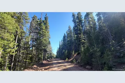 Lot 2999 & 2998 Drexler Place, Fort Garland, CO 81133 - Photo 12