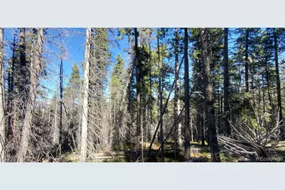 Lot 2999 & 2998 Drexler Place, Fort Garland, CO 81133 - Photo 6