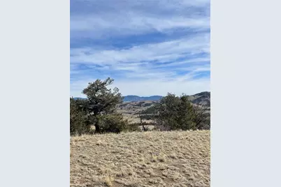 Antelope Road, Hartsel, CO 80449 - Photo 8