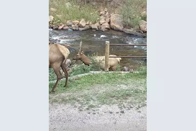 27154 Highway 74, Evergreen, CO 80439 - Photo 34