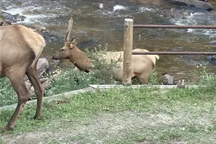 27154 Hwy 74, Evergreen, CO 80439 - Photo 34