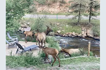 27154 Highway 74, Evergreen, CO 80439 - Photo 32