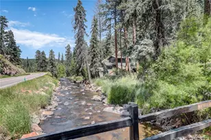 27154 Hwy 74, Evergreen, CO 80439 - Photo 38