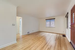 742 Ivanhoe St, Denver, CO 80220 - Photo 10