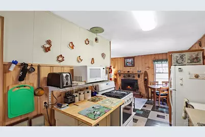 28488 Park Avenue, Pine, CO 80470 - Photo 12