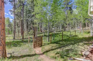 11135 Kennedy Ave, Conifer, CO 80433 - Photo 38