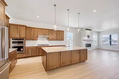 634 Leafy Aster Lane, Castle Rock, CO 80104 - Photo 14