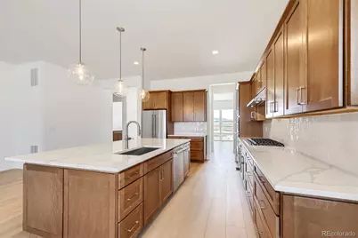 634 Leafy Aster Lane, Castle Rock, CO 80104 - Photo 6