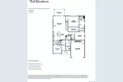634 Leafy Aster Lane, Castle Rock, CO 80104 - Photo 12
