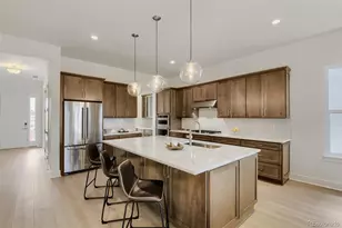 634 Leafy Aster Ln, Castle Rock, CO 80104 - Photo 12