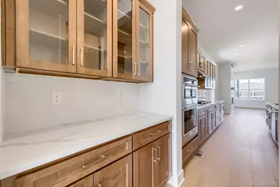 634 Leafy Aster Lane, Castle Rock, CO 80104 - Photo 4