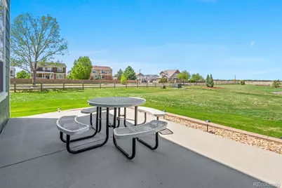 430 Sheldon Avenue, Castle Rock, CO 80104 - Photo 30