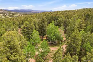 175 Mt Bailey Dr, Bailey, CO 80421 - Photo 44