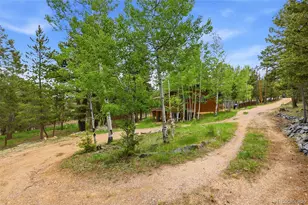 175 Mt Bailey Dr, Bailey, CO 80421 - Photo 40