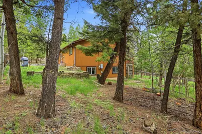 175 Mount Bailey Drive, Bailey, CO 80421 - Photo 42