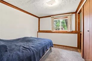 175 Mt Bailey Dr, Bailey, CO 80421 - Photo 26