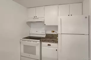 1265 Elizabeth Street, Denver, CO 80206 - Photo 6