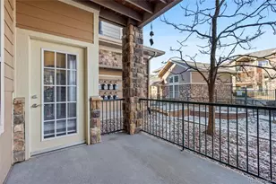 10805 Twenty Mile Road, Parker, CO 80134 - Photo 26