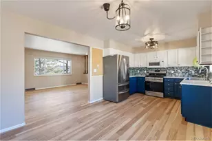 219 Burgess Dr, Castle Rock, CO 80104 - Photo 16