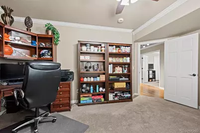 7524 Engineers Court, Larkspur, CO 80118 - Photo 34