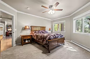 7524 Engineers Ct, Larkspur, CO 80118 - Photo 32