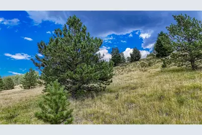 972 Anges Drive, Cripple Creek, CO 80813 - Photo 26