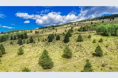 972 Anges Drive, Cripple Creek, CO 80813 - Photo 16
