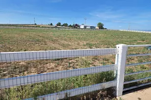 5106 Lebsack Ln, Loveland, CO 80537 - Photo 36