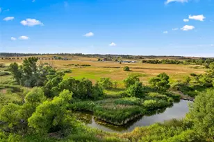 39848 Swift Creek Cir, Elizabeth, CO 80107 - Photo 48