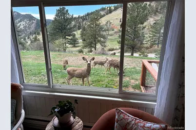 5384 Olde Stage Road, Boulder, CO 80302 - Photo 46