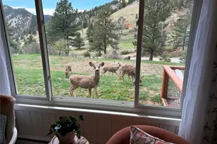 5384 Olde Stage Rd, Boulder, CO 80302 - Photo 46