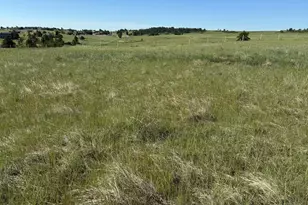 35501 Cheyenne Trail, Elizabeth, CO 80107 - Photo 1