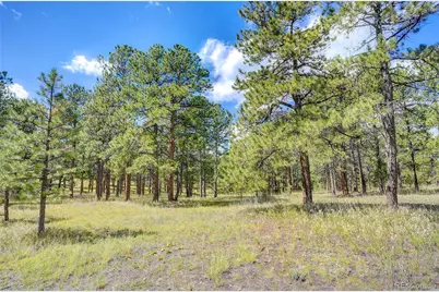 4501 Lakota Road, Indian Hills, CO 80454 - Photo 10