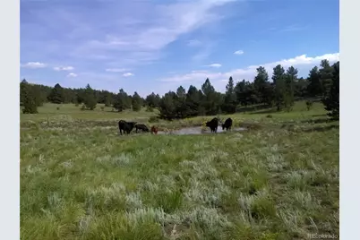 Tbd Post Road, Guffey, CO 80820 - Photo 22