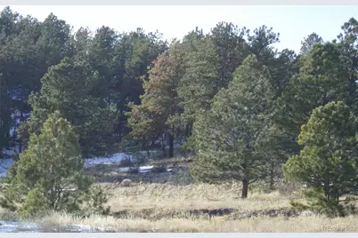 Tbd Post Road, Guffey, CO 80820 - Photo 8