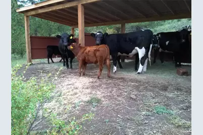 Tbd Post Road, Guffey, CO 80820 - Photo 12