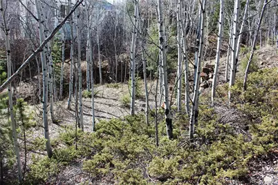 00 Spruce Street, Central City, CO 80427 - Photo 10