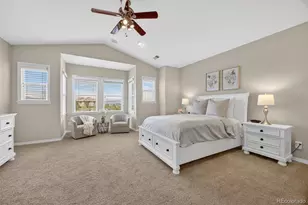 10437 Willowwisp Way, Highlands Ranch, CO 80126 - Photo 20