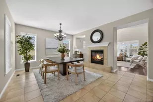 10437 Willowwisp Way, Highlands Ranch, CO 80126 - Photo 8