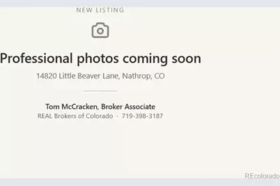 14820 Little Beaver Lane, Nathrop, CO 81236 - Photo 1