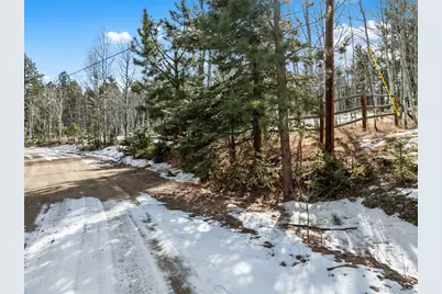 Lot 20 Echo Lake Drive, Florissant, CO 80827 - Photo 18